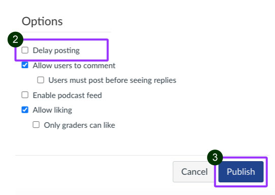 Delay Posting and Publish highlighted.
