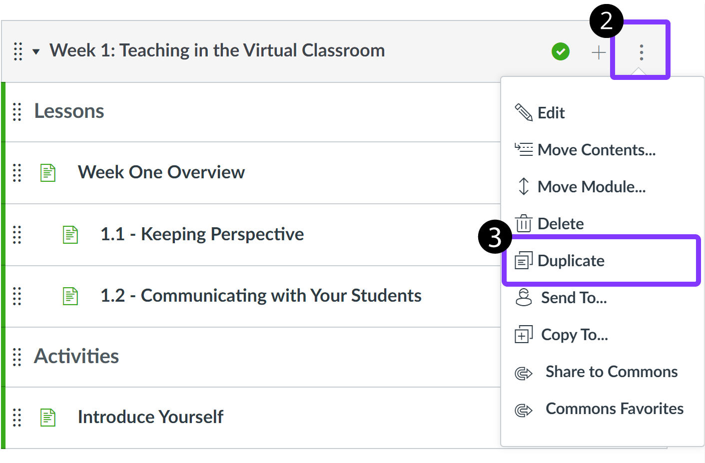 Duplicate highlighted on the Options drop-down menu.