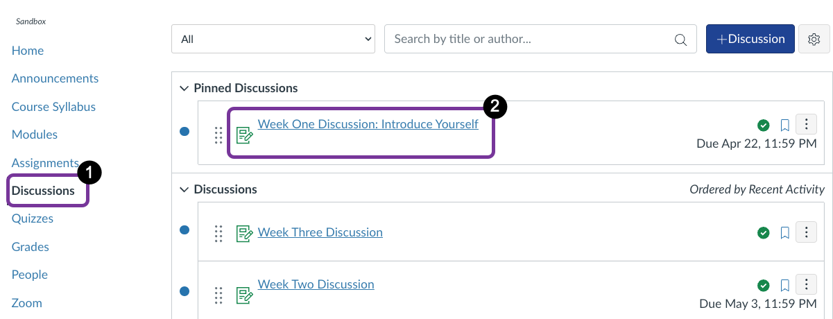 Discussions highlighted in navigation menu and Pinned Discussions also highlighted.